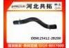 Radiator Hose:25412-2B200