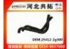 Radiator Hose:25412-2g300