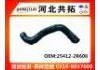 Radiator Hose:25412-2R600