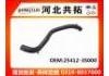 Radiator Hose:25412-3S000