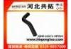 Radiator Hose:16571-0P010