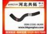 Radiator Hose:21501-06J00