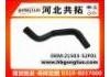 Radiator Hose:21503-52F01