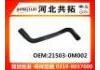 Radiator Hose:21503-0M002