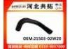 Radiator Hose:21503-02W20