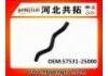 Radiator Hose:57531-25000