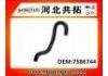 Radiator Hose:7586744