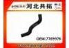 Radiator Hose:7769976