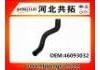 Radiator Hose:46093032