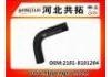 Radiator Hose:2101-8101204