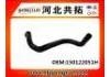 Radiator Hose:150122051H