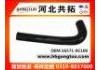 Radiator Hose:16571-0C100