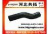 Radiator Hose:BQ130301230AO