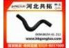 Radiator Hose:B02H-61-212