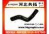 Radiator Hose:B546-15-186A