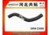 Radiator Hose:22686