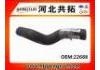 Radiator Hose:22688