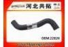 Radiator Hose:22826