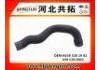 Radiator Hose:A638 528 19 82 039 528 0003